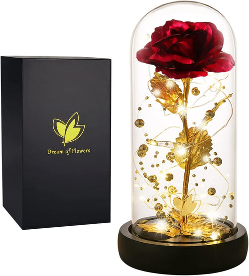 Beauty and the Beast Rose in a Glass
