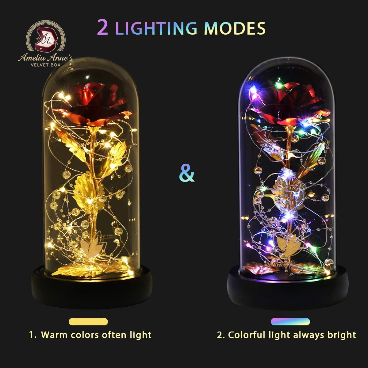 Infinity Rose in a Glass