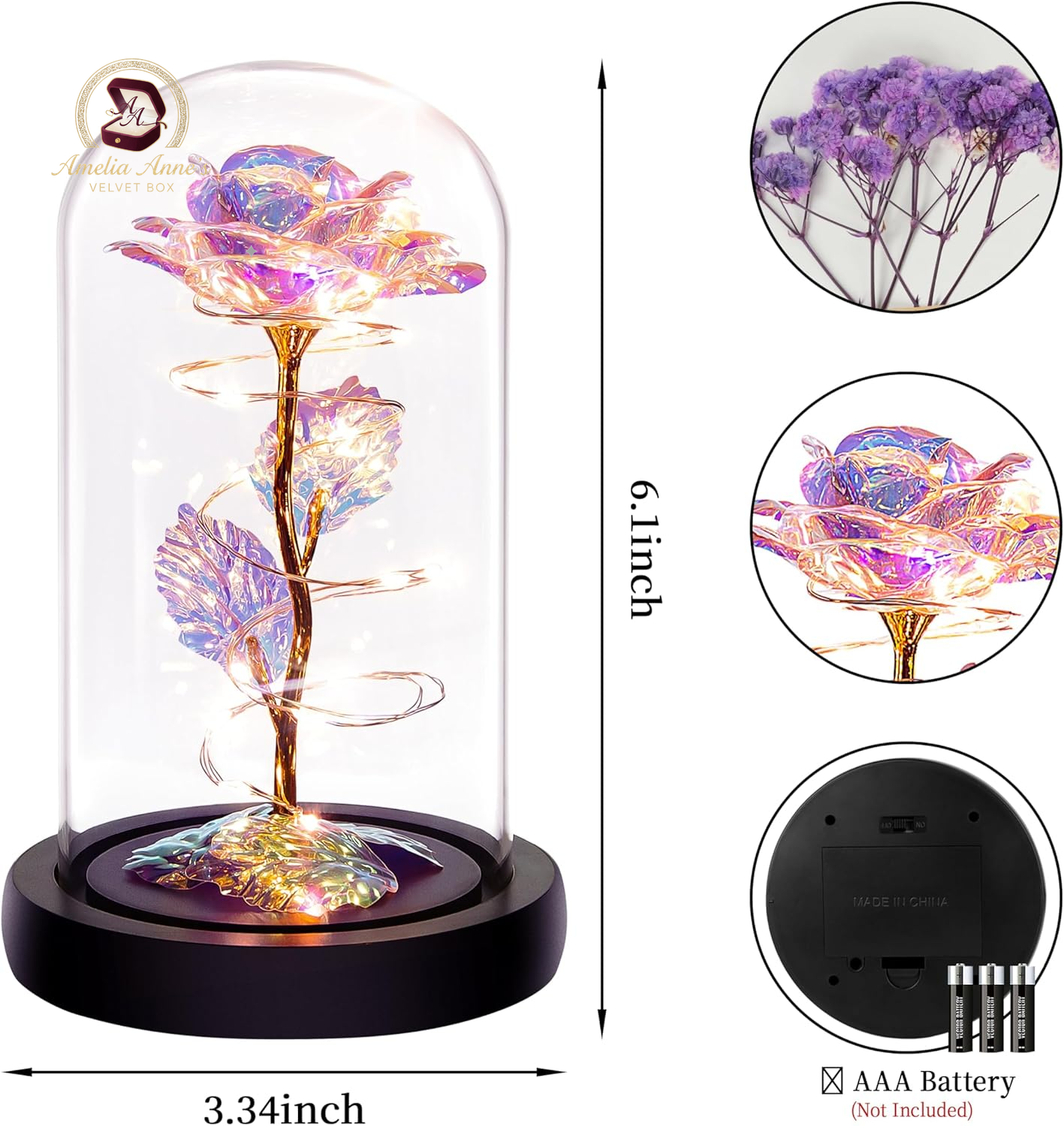 Rainbow Rose in a Glass